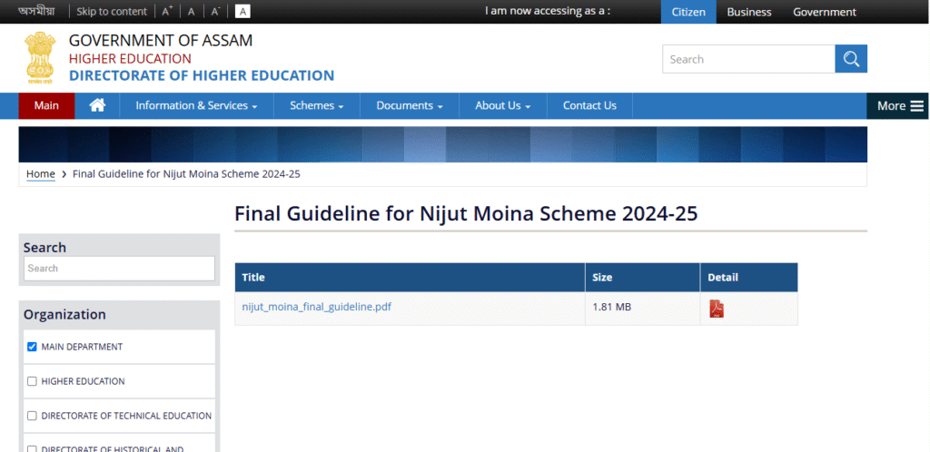 Nijut Moina 2.0 Scheme 